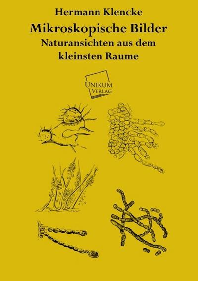Mikroskopische Bilder