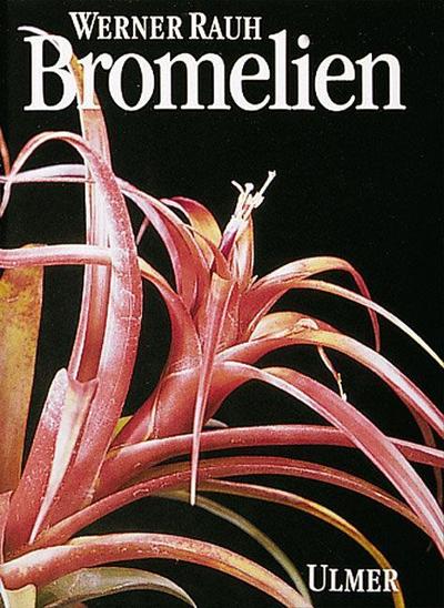 Bromelien 