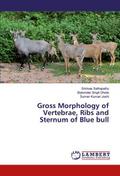 Gross Morphology of Vertebrae, Ribs and Sternum of