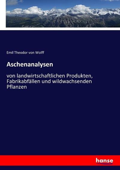 Aschenanalysen