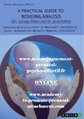 A Practical Guide to Bonding Analysis. Bonding-Related Support in Pregnancy Presented by "APPA" (Academy-To-Promote-Prenatal-Attachment)