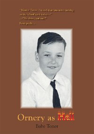 Ornery as Hell (eBook, EPUB) - Babe Toner