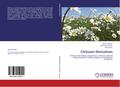 Chitosan Derivatives