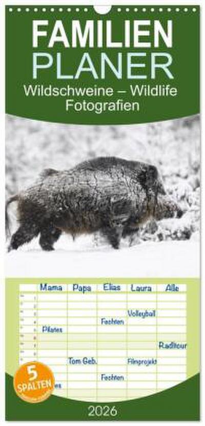 Familienplaner 2026 - Wildschweine - Wildlife Fotografien mit 5 Spalten (Wandkalender, 21 x 45 cm) CALVENDO