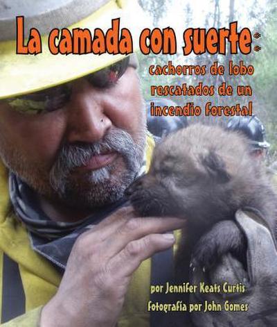 La Camada Con Suerte: Cachorros de Lobo Rescatados de Un Incendio Forestal (Lucky Litter, The: Wolf Pups Rescued from Wildfire)