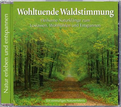 Naturgeräusche: Wohltuende Waldstimmung