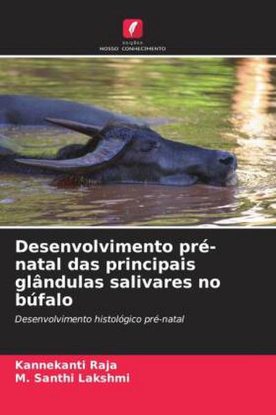 Desenvolvimento pré-natal das principais glândulas salivares no búfalo