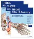 THIEME Atlas of Anatomy