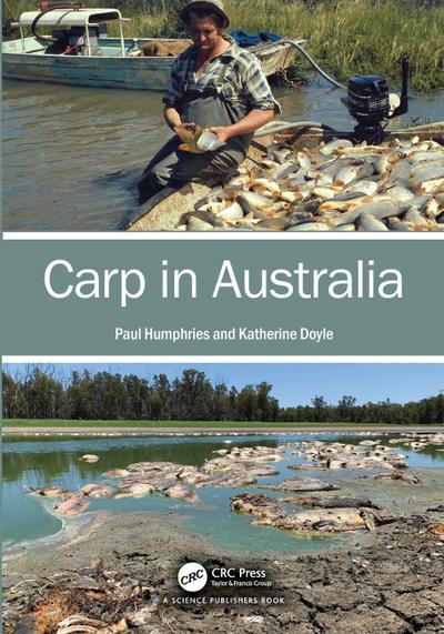 Carp in Australia