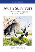 Avian survivors