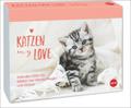 Katzen my love Tagesabreißkalender 2026