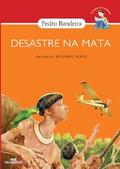 Desastre na mata