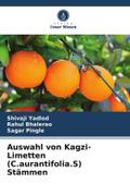 Auswahl von Kagzi-Limetten (C.aurantifolia.S) Stämmen