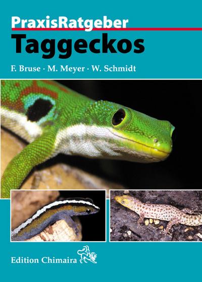 Taggeckos