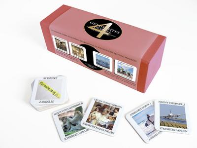 Gemischtes Doppel 4 (Spiel)