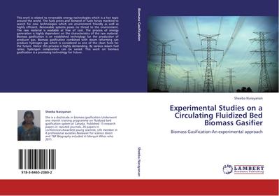 Experimental Studies on a Circulating Fluidized Bed Biomass Gasifier