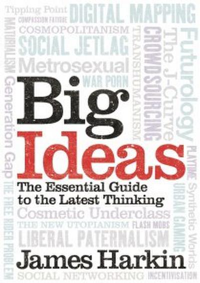 Harkin, J: Big Ideas