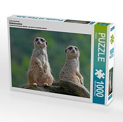 Wir sehen alles am Himmel!, 1000 Teile