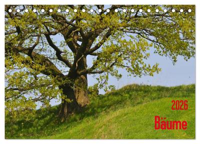 Bäume (Tischkalender 2026 DIN A5 quer), CALVENDO Monatskalender