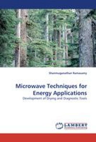 Microwave Techniques for Energy Applications