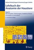 Lehrbuch der Anatomie der Haustiere IV