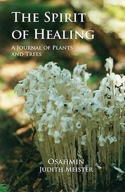 The Spirit of Healing