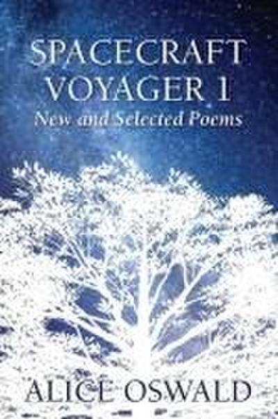 Spacecraft Voyager 1