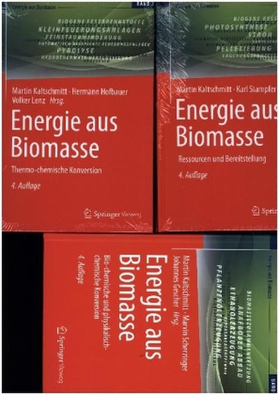Energie aus Biomasse