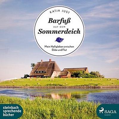 Barfuß auf dem Sommerdeich, 1 Audio-CD, 1 MP3