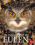 Die magische Welt der Eulen