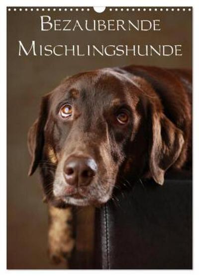Bezaubernde Mischlingshunde (Wandkalender 2026 DIN A3 hoch), CALVENDO Monatskalender
