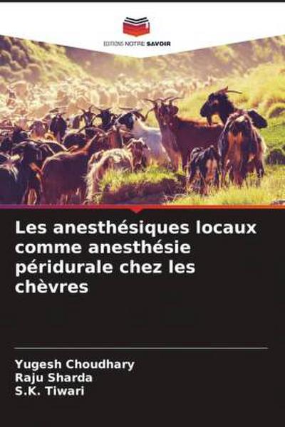 Les anesthésiques locaux comme anesthésie péridurale chez les chèvres