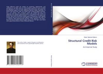 Structural Credit Risk Models