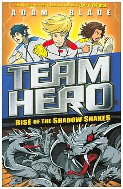 Team Hero - Rise of the Shadow Snakes