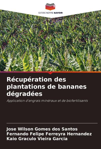 Récupération des plantations de bananes dégradées