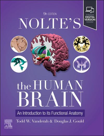 Nolte’s The Human Brain