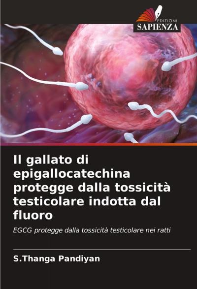 Il gallato di epigallocatechina protegge dalla tossicità testicolare indotta dal fluoro