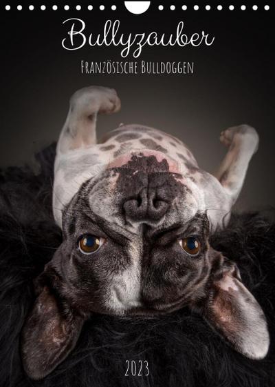 Bullyzauber - Französische Bulldoggen (Wandkalender 2023 DIN A4 hoch)