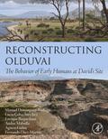 Reconstructing Olduvai