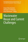 Wastewater Reuse and Current Challenges