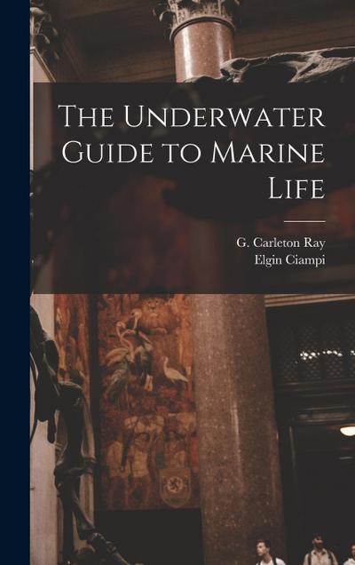 The Underwater Guide to Marine Life