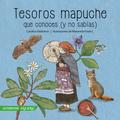 Tesoros Mapuche