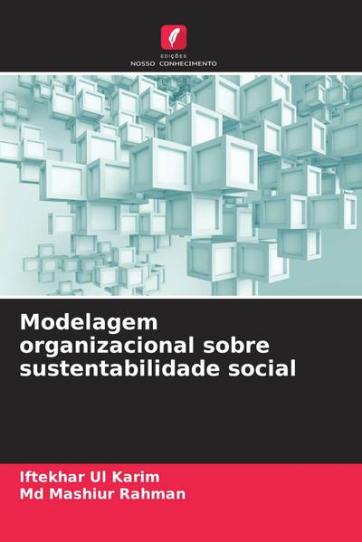 Modelagem organizacional sobre sustentabilidade social