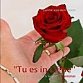 Tu es in Liebe - Zanne van den Geest