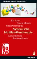 Systemische Multifamilientherapie