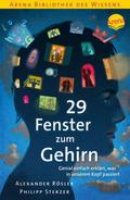 29 Fenster zum Gehirn
