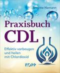 Praxisbuch CDL