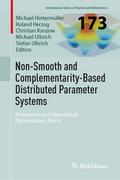 Non-Smooth and Complementarity-Based Distributed Parameter Systems