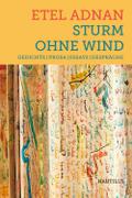Sturm ohne Wind