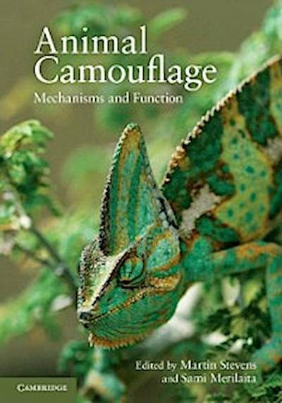 Animal Camouflage